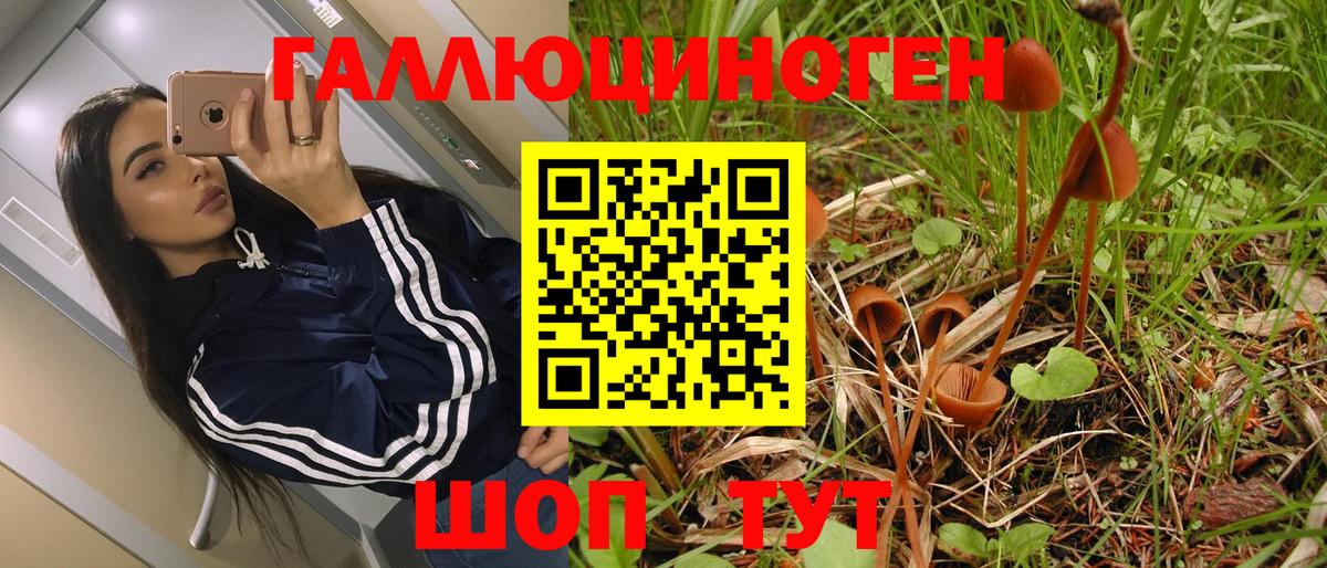 Ялуторовск  Галлюциногенные грибы мухоморы  Вход с VPN 